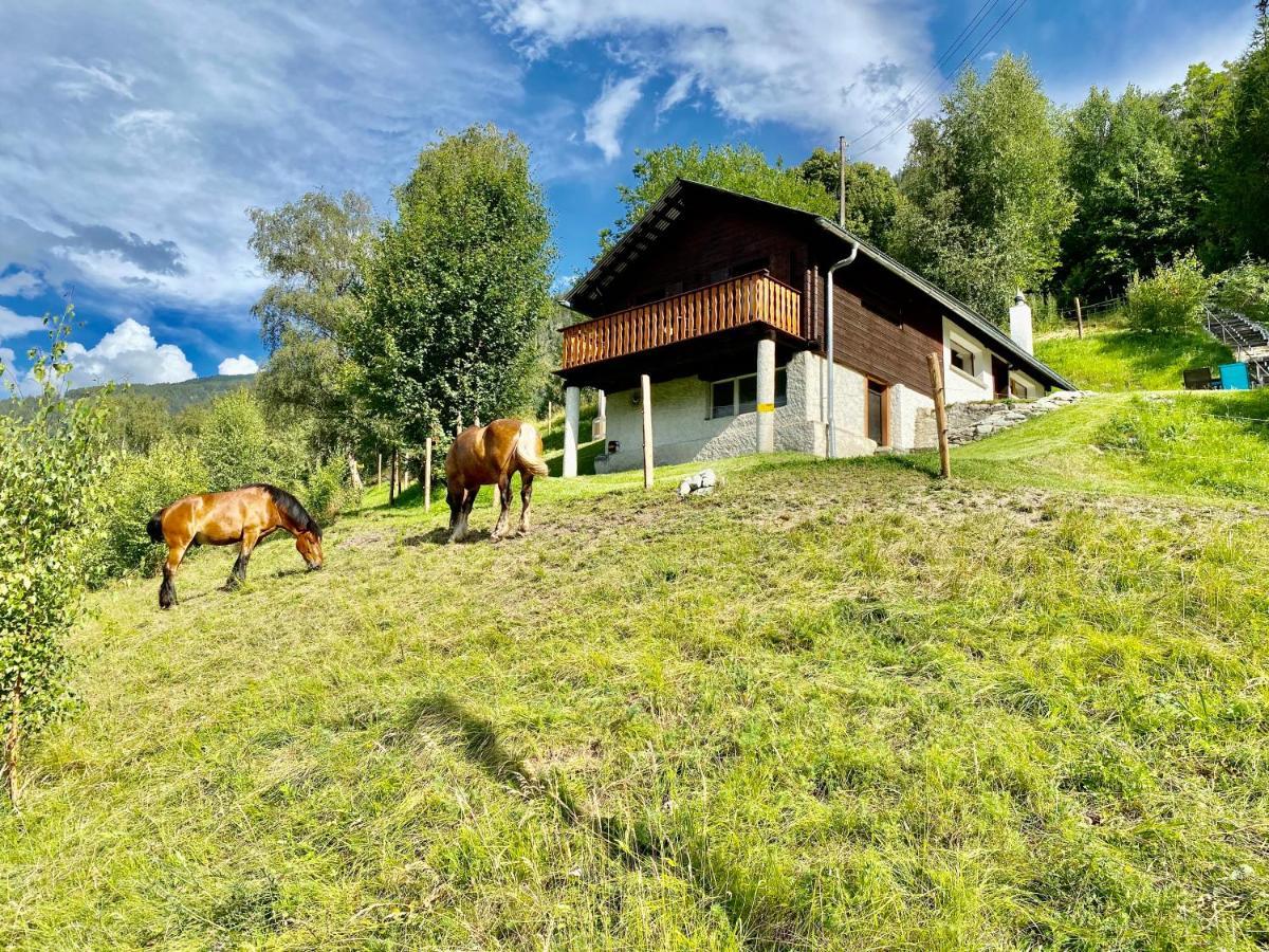 Eco Lodge With Jacuzzi And View In The Swiss Alps Grône المظهر الخارجي الصورة